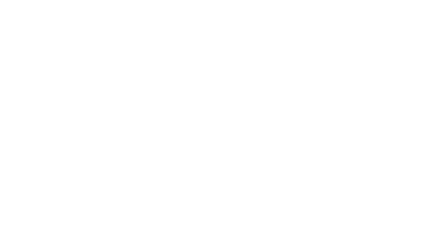 PSecurity Logo